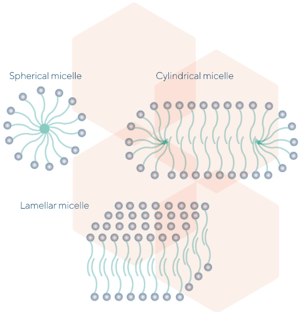 Different types of Micelles