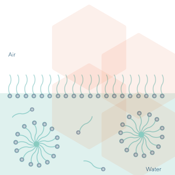 Micelles Formation